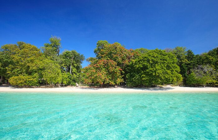 เกาะรอก จังหวัดกระบี่